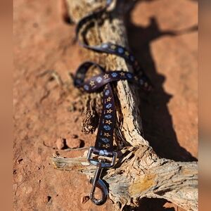 U.S. Army 60" Pet Leash – Officially Licensed